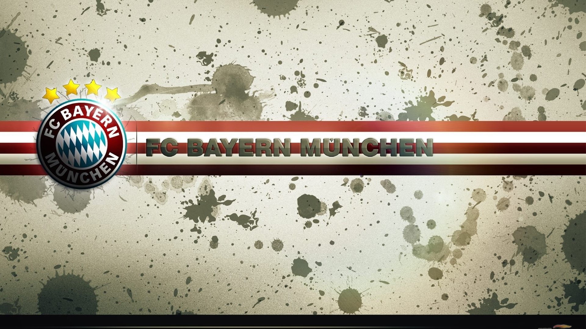 体育赛事观众增长趋势报告